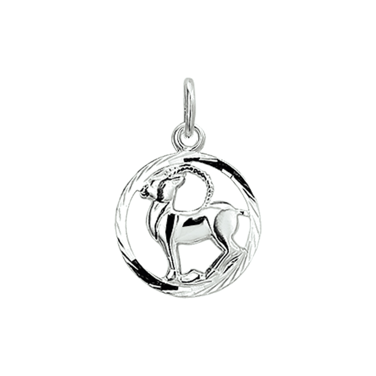 Zilveren hanger/bedel Steenbok. Gediamanteerd.
Diameter: 12.5 mm.