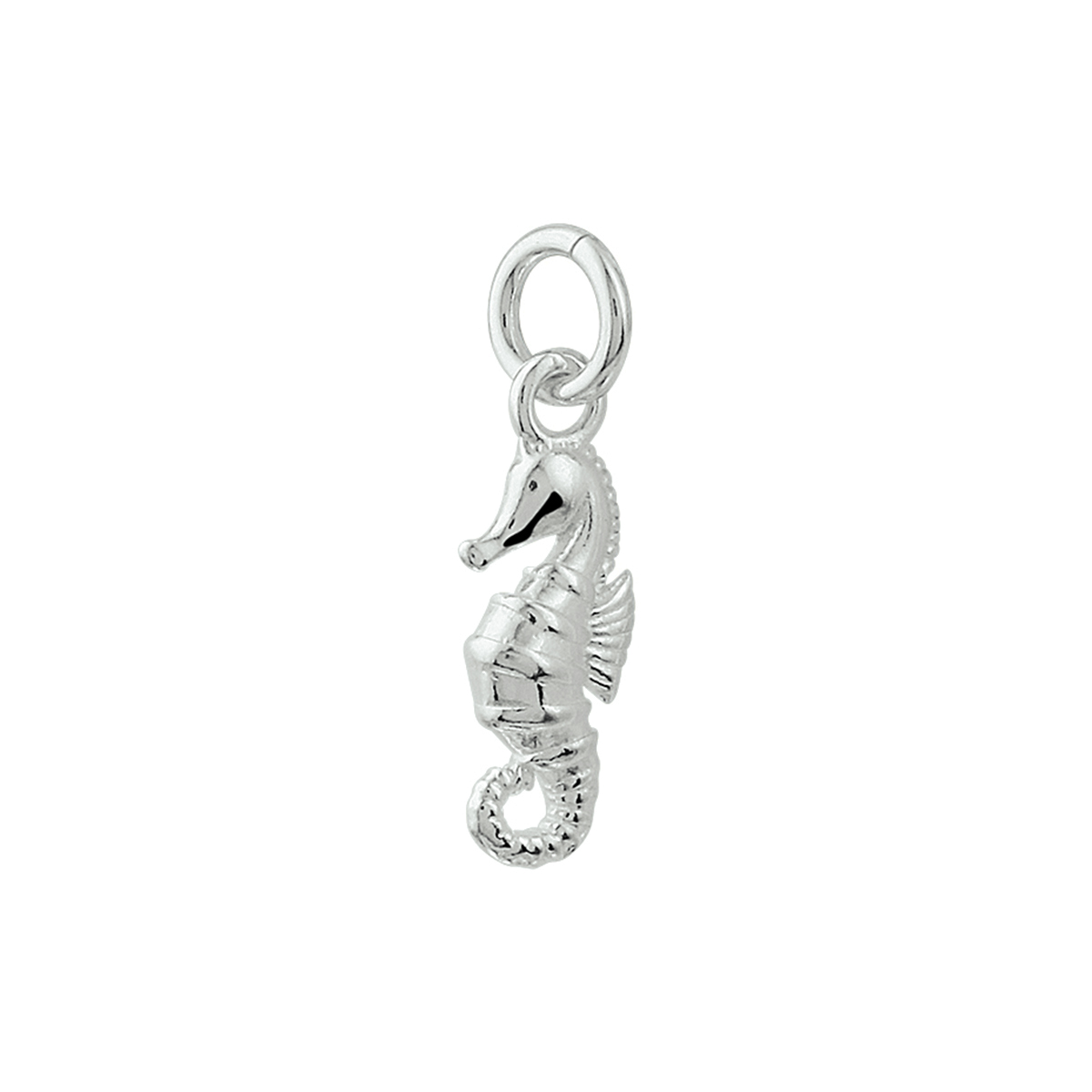 925 zilveren hanger uitgevoerd in de vorm van een zeepaard. De hanger heeft een totale hoogte van 2.1cm en een breedte van 6mm.