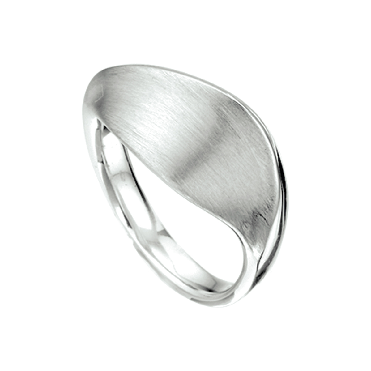 Beschrijving: Gerhodineerd zilveren collier met een poli/matte afwerking. 
Uniekenummer serie: 31748
Verpakt per: 1
Doelgroep: dames
Ringmaat: 18.50 mm (58)
Breedte: 9.5 mm