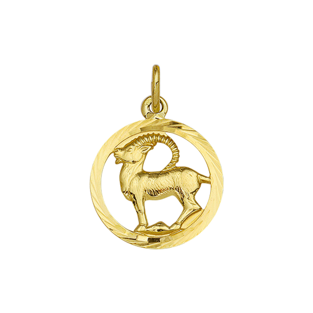 22 december t/m 19 januari
Gouden hanger steenbok horoscoop in rand 18mm
Uniekenummer serie: 35768
