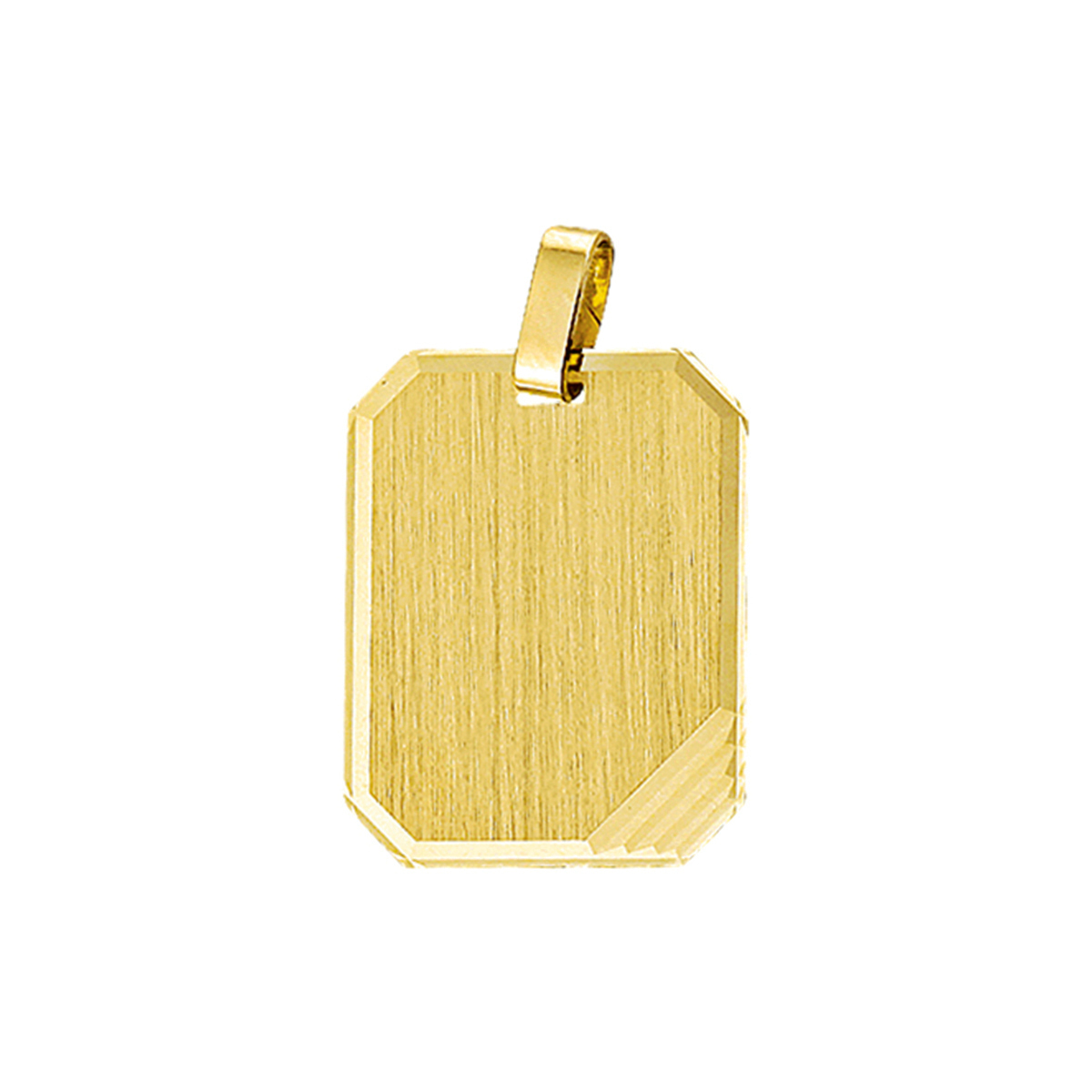 Beschrijving: Geelgouden graveerhanger met een gediamanteerde afwerking. 
Verpakt per: 1
Doelgroep: unisex
Breedte: 18 mm
Hoogte: 23 mm
