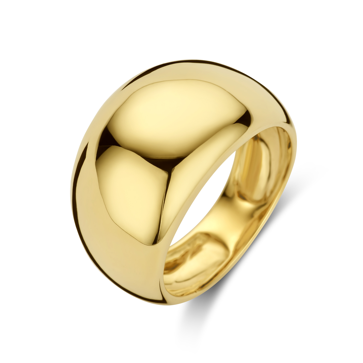 14kt. Geelgouden Ring, U147
