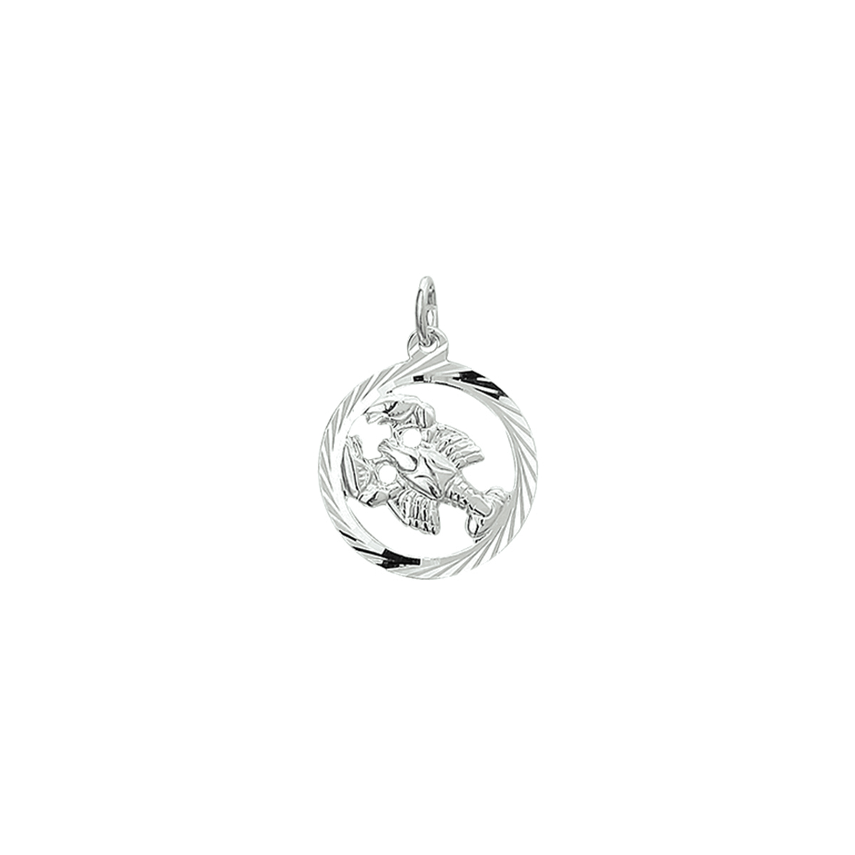 De hanger is gemaakt van gerhodineerd zilver en is zilverkleurig. Het is een sieraad voor unisex.