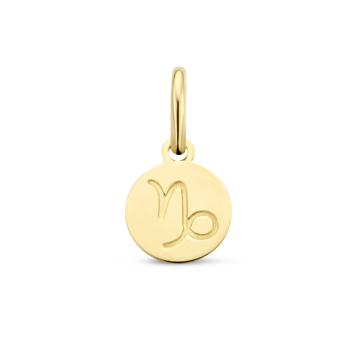 14k Geelgouden hanger uitgevoerd met een sterrenbeeld. De hanger heeft een totale hoogte van 1.2cm en een diameter van 6mm.