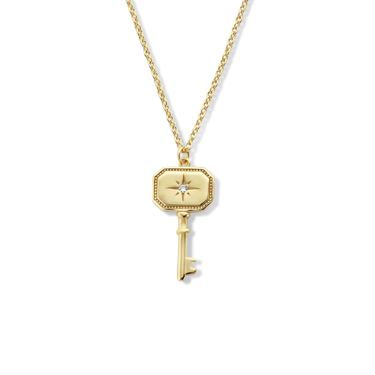 Geelgoud op 925 zilveren collier uitgevoerd met een sleutel en een karabijn sluiting. Het collier heeft een draaglengte van 41cm met een extensie van 4cm. Geen garantie op de plating.