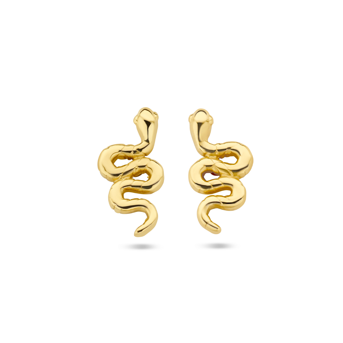 14k Geelgouden slang oorknoppen met een afmeting van 8x4mm.