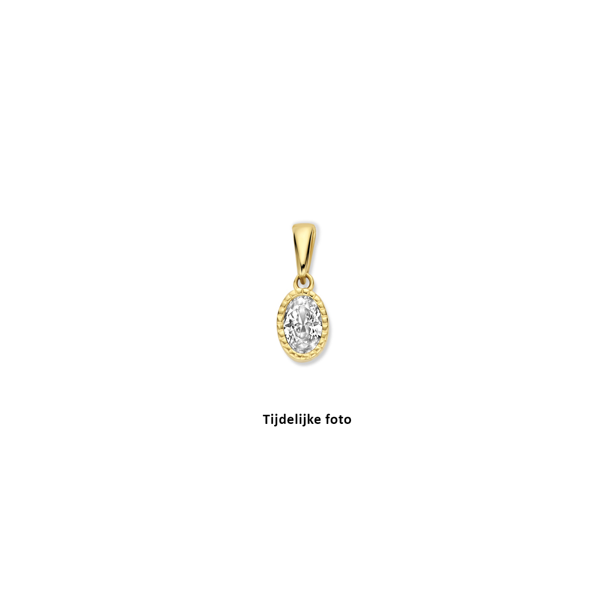 14k Geelgouden hanger uitgevoerd met zirkonia. De hanger heeft een totale hoogte van 13.5mm.