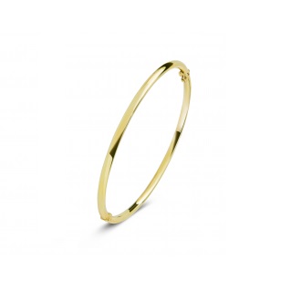 Fjory - Geelgouden bangle armband met zilveren kern, rond 5mm x 61mm - 40-A306105