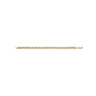 Fjory - Bicolor geel/witgouden gourmette armband met linked schakels 21cm, met zilveren kern - 41-GL0821
