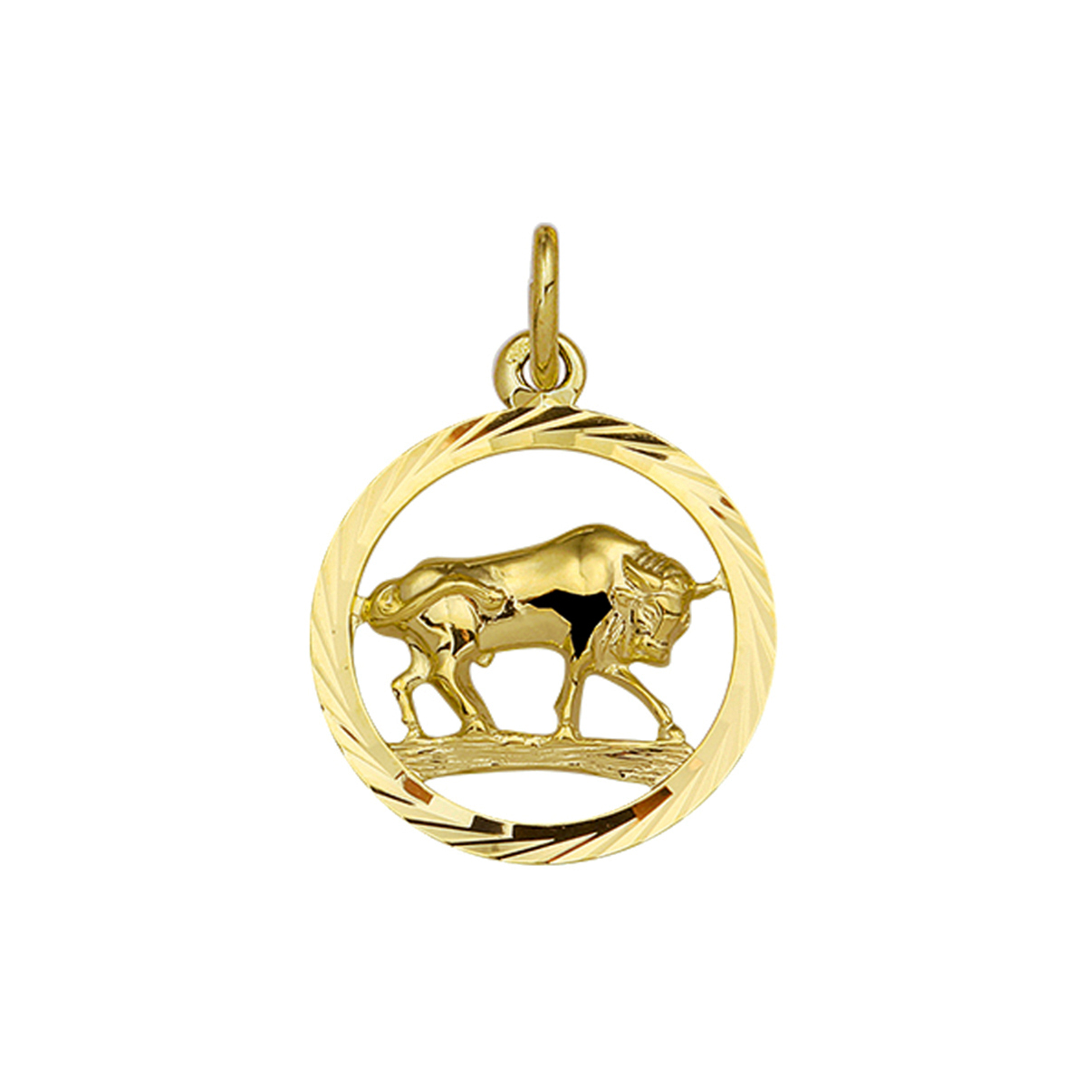 20 april t/m 20 mei
gouden hanger stier horoscoop in rand 18mm
Uniekenummer serie: 35768
