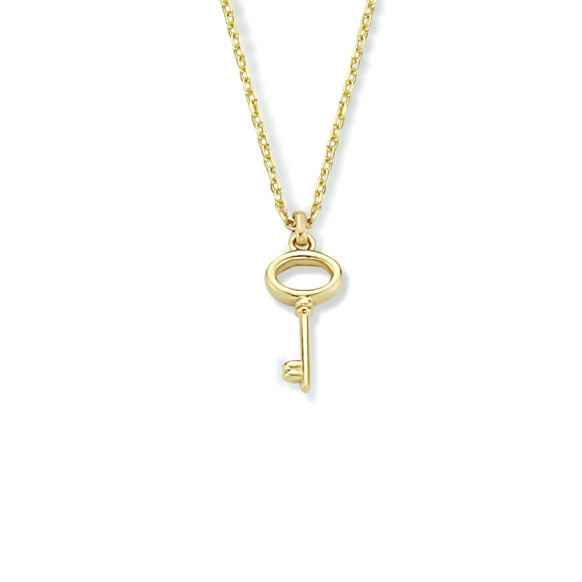 14k Geelgouden collier met een hanger in de vorm van een sleutel. Het collier heeft draaglengtes van 40, 42 en 44cm. De hanger heeft een afmeting van 12x5.5mm.