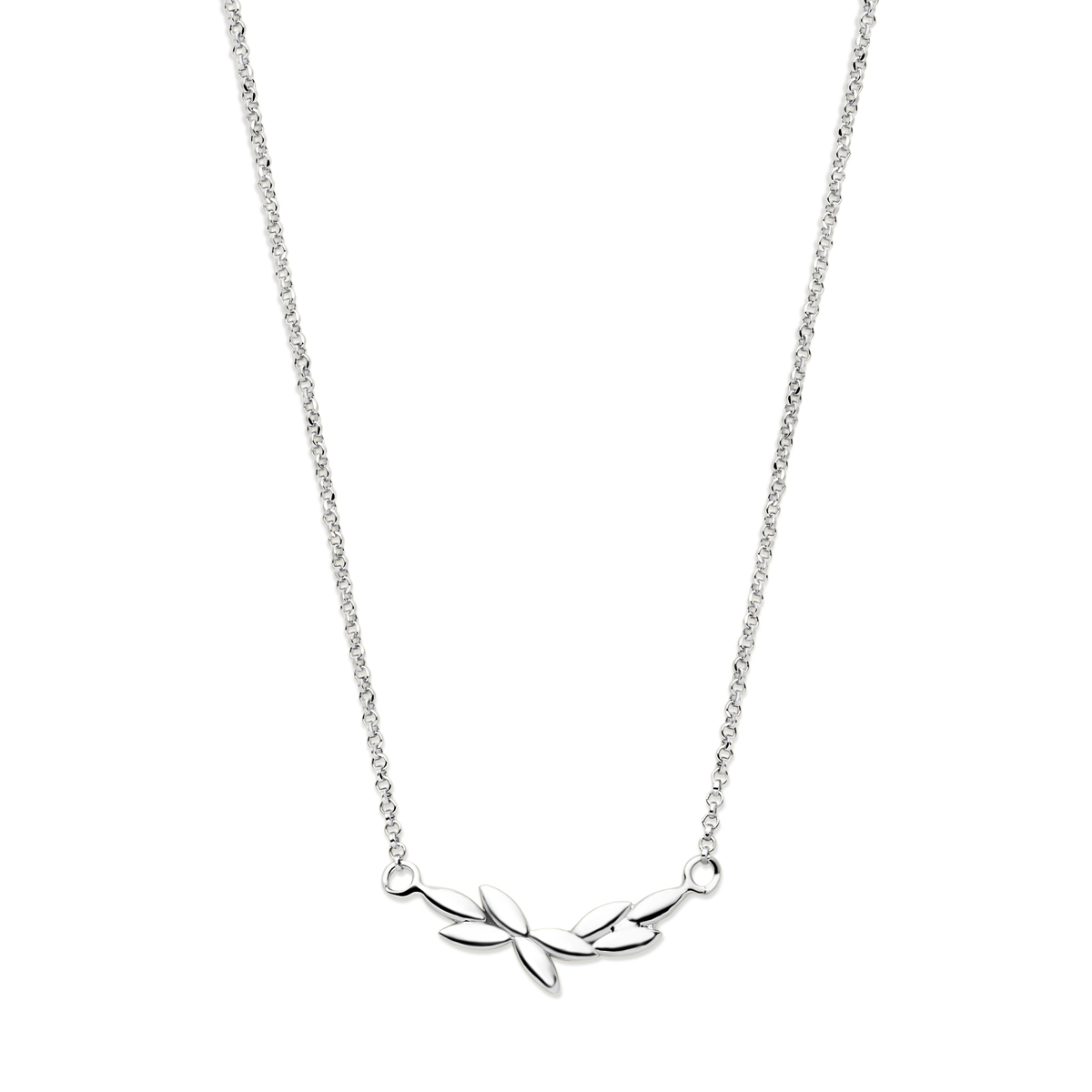 zilveren collier gerodieerd