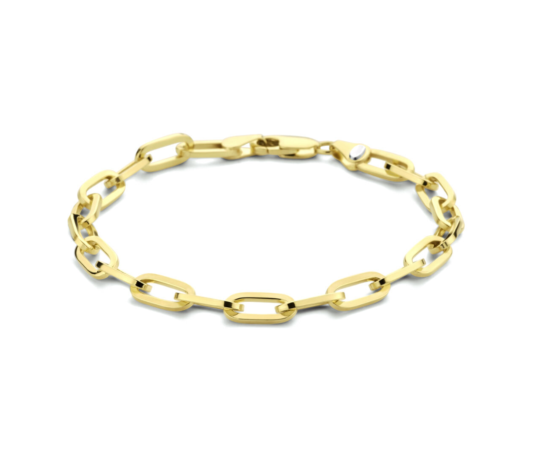 14 Karaat geelgouden armband met daarin een kern van 925 zilver. De armband is uitgevoerd met een paperclip schakel met een breedte van 5mm. De armband heeft een draaglengte van 19cm en een stevige karabijn sluiting.