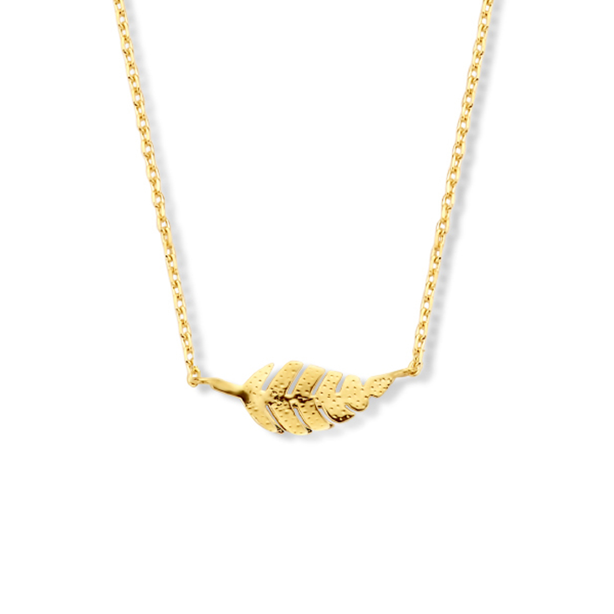14.kt gouden collier met veer 40-44 cm