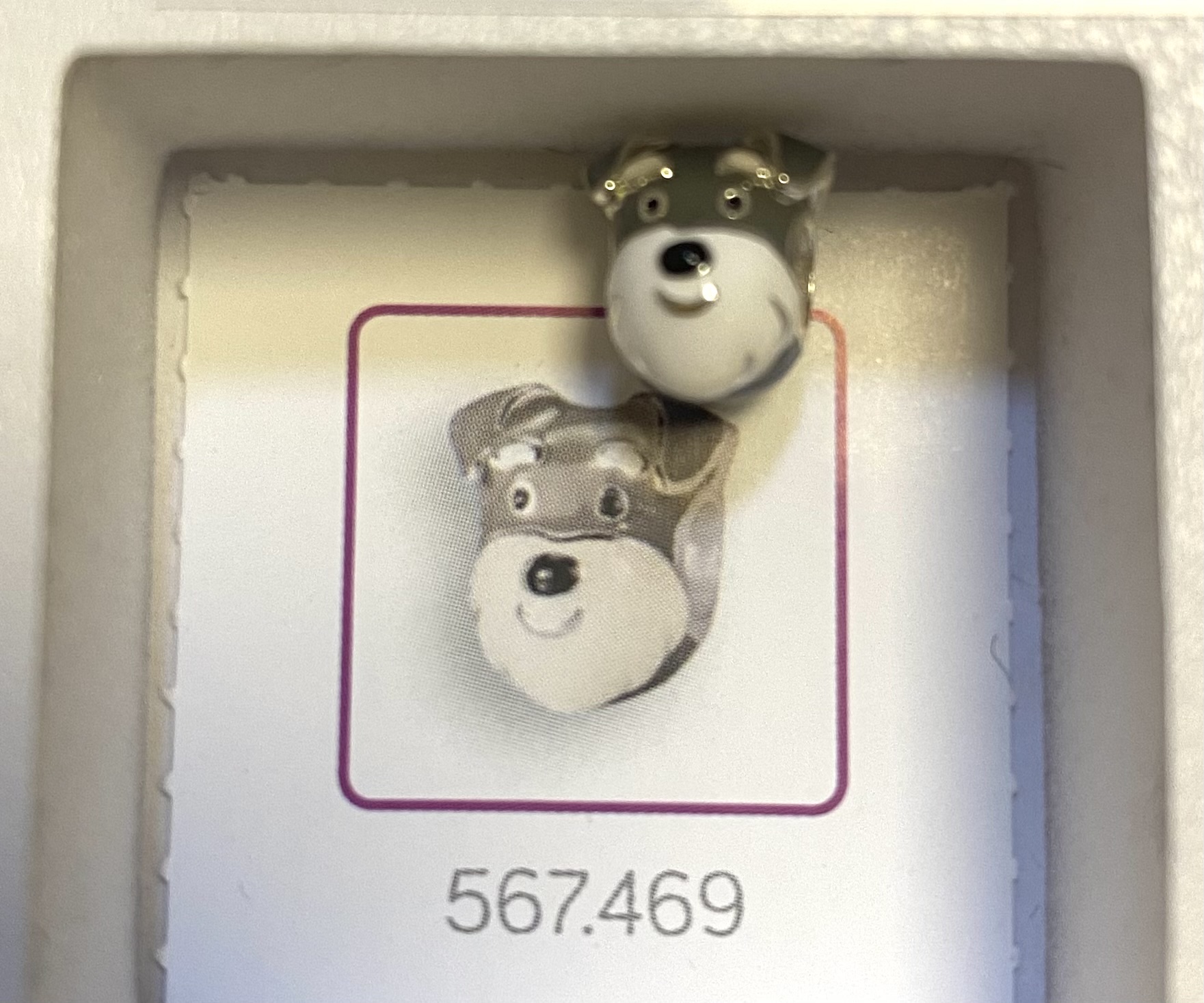 567469