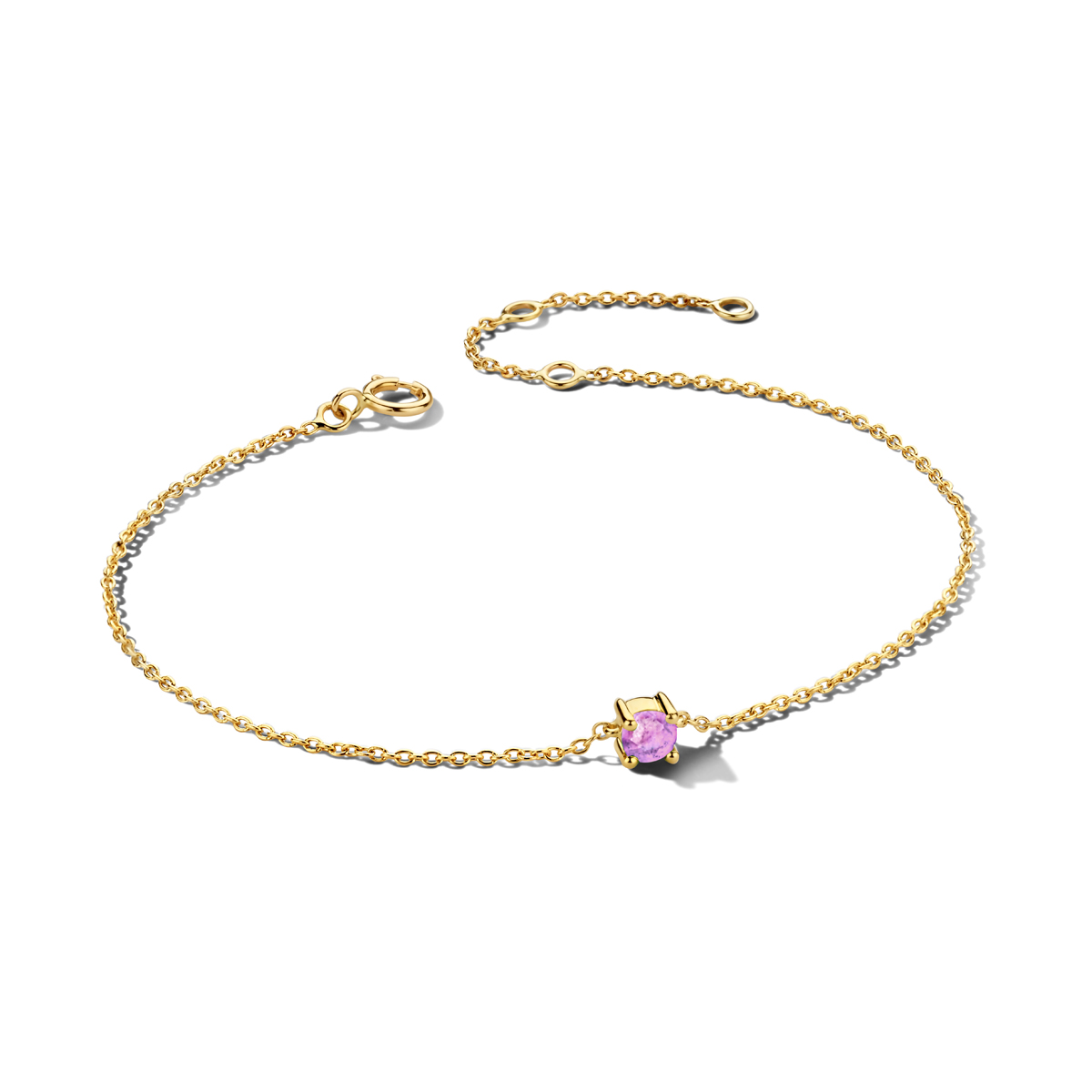 14k Geelgouden armband met een geboortesteen. De amethyst heeft een steengewicht van 0.20ct. De armband heeft draaglengtes van 15.5, 17 en 18.5cm. De schakelbreedte is 1.0mm.