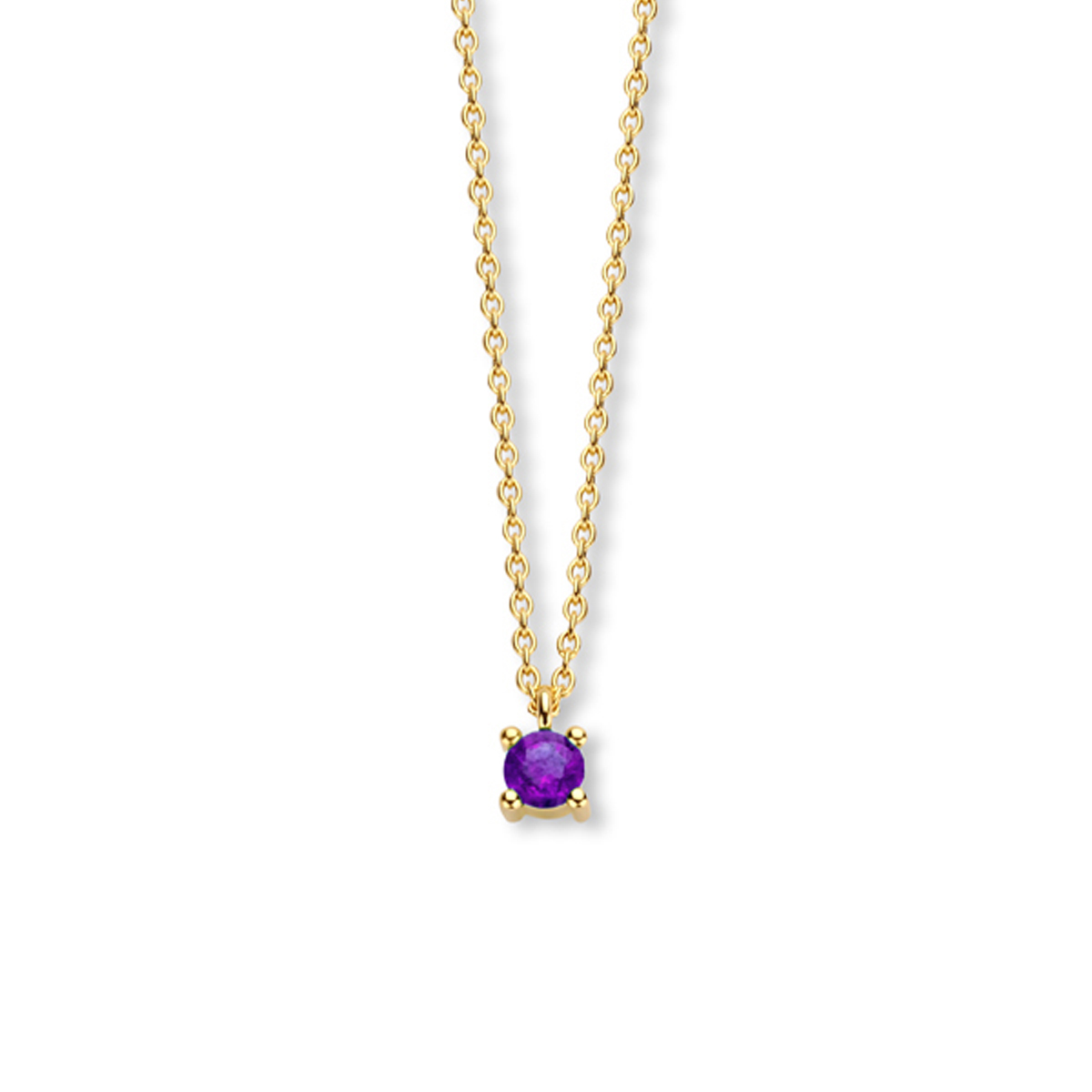 14k Geelgouden collier met een amethyst geboortesteen. De amthyst heeft een steengewicht van 0.16ct. Het collier heeft draaglengtes van 40, 42 en 44cm. De schakelbreedte is 1.0mm.