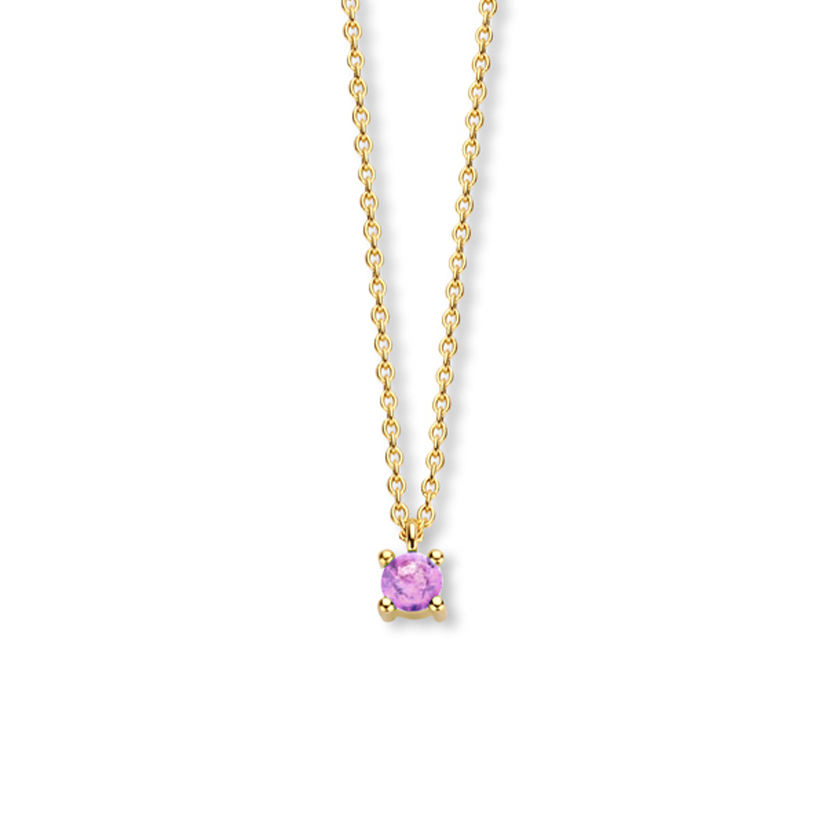 14k Geelgouden collier met een amethyst geboortesteen. De amethyst heeft een steengewicht van 0.20ct. Het collier heeft draaglengtes van 40, 42 en 44cm. De schakelbreedte is 1.0mm.