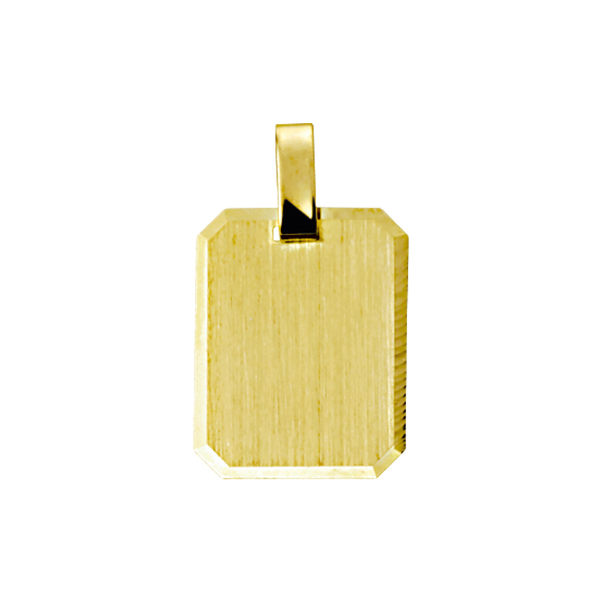 Beschrijving: Geelgouden graveerhanger met een gediamanteerde afwerking. 
Verpakt per: 1
Doelgroep: unisex
Breedte: 14 mm
Hoogte: 18 mm