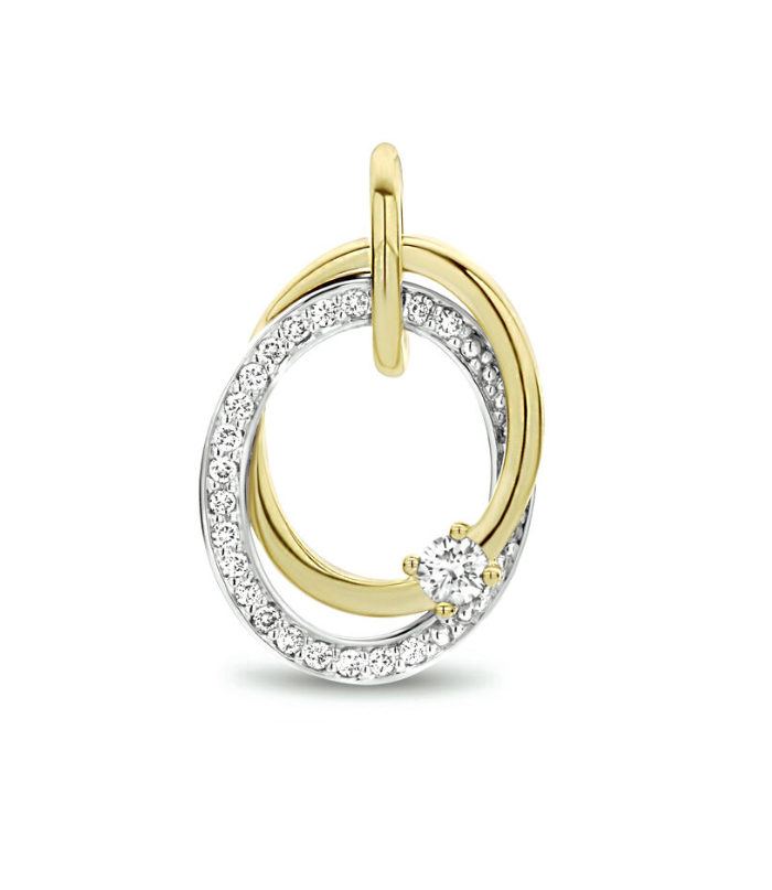 14 Karaat bicolor geel- en witgouden hanger uitgevoerd met 0.14 caraat schitterend diamant H/SI. De hanger heeft een totale hoogte van 1.8cm en een breedte van 11.8mm.