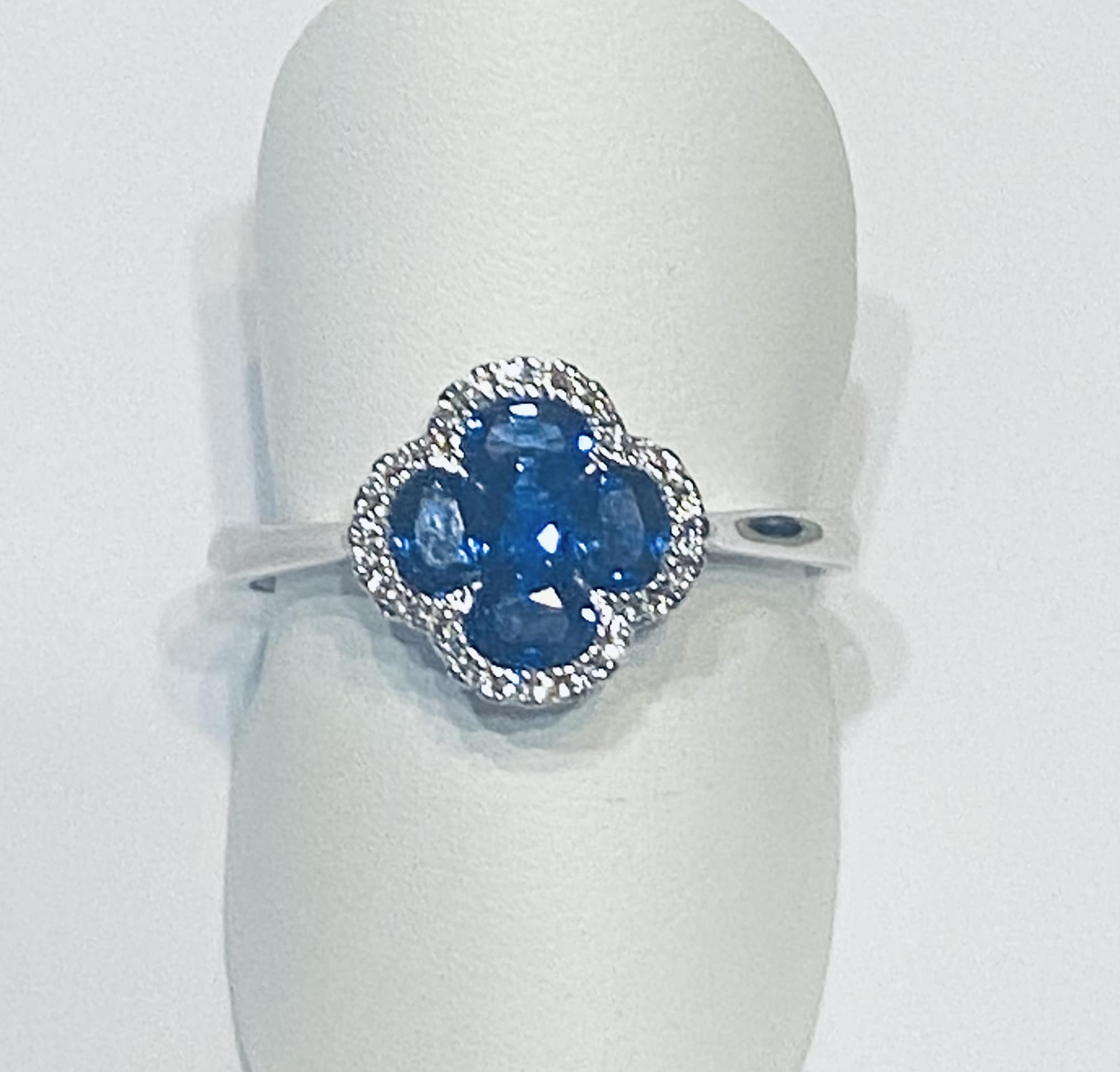 Ring in wit goud 18 kt met diamant en blauwe saffier 
28-0.10 G SI
5-0.94 Saffier
Bij horende oorringen en ketting ( mogelijk )