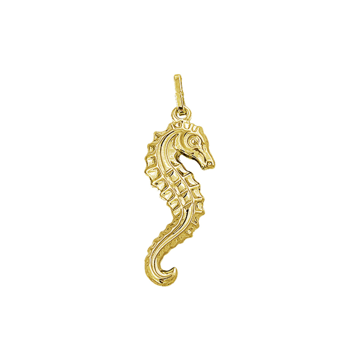 Beschrijving: Geelgouden bedel met een zeepaard.
Verpakt per: 1
Doelgroep: unisex
Breedte: 9.5 mm
Hoogte: 24.5 mm