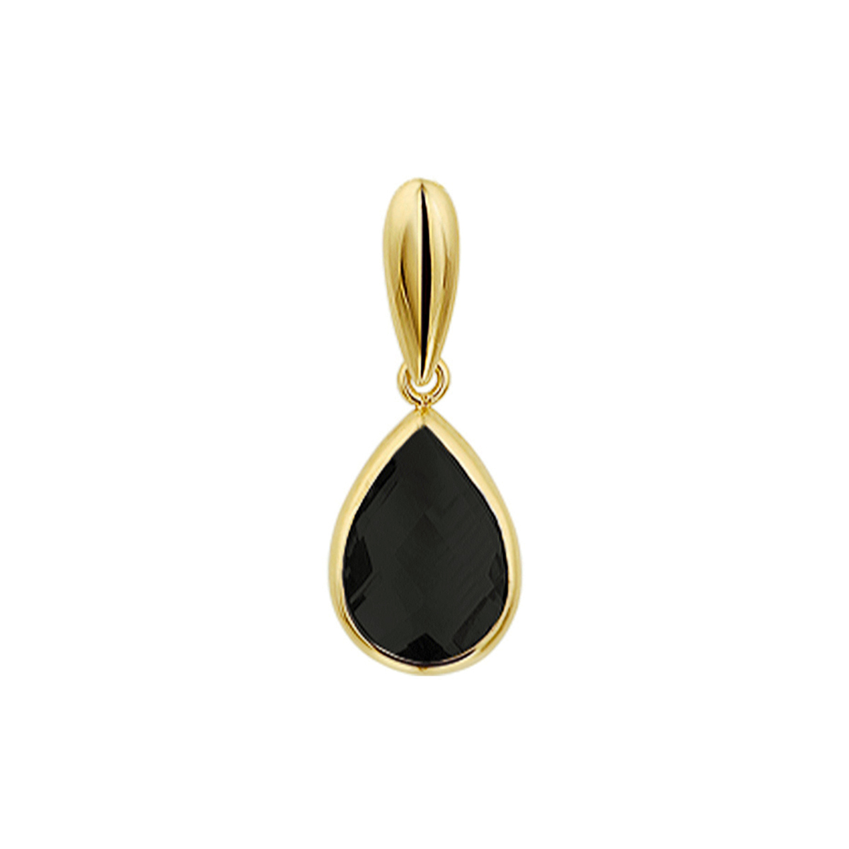 14k Geelgouden hanger uitgevoerd met een schitterende onyx. De hanger heeft een totale hoogte van 20mm.