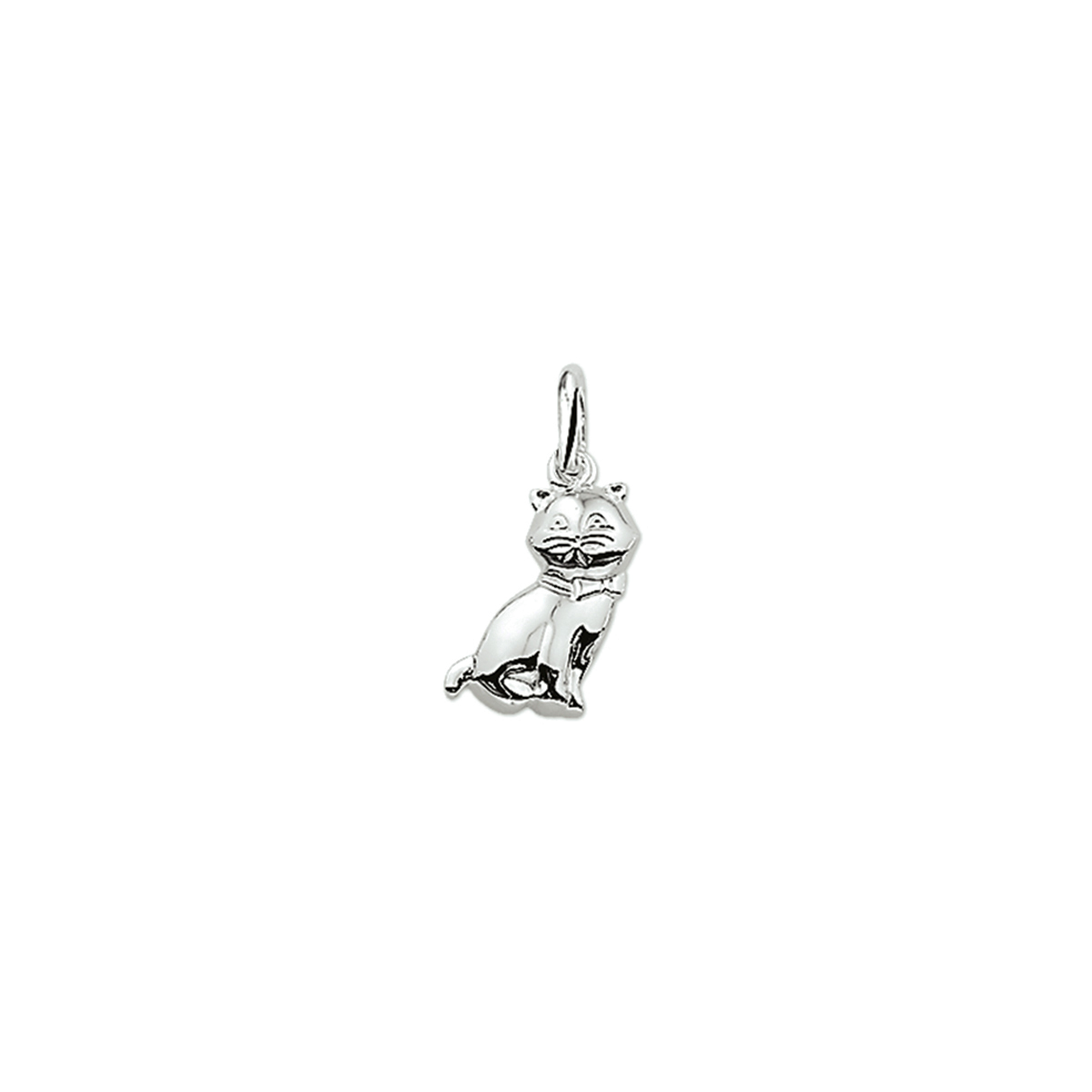 Hanger Zilver gerhodineerd Poes
Uniekenummer serie: VR1321749
Doelgroep: kinderen

Breedte: 10


Hoogte: 15.5
