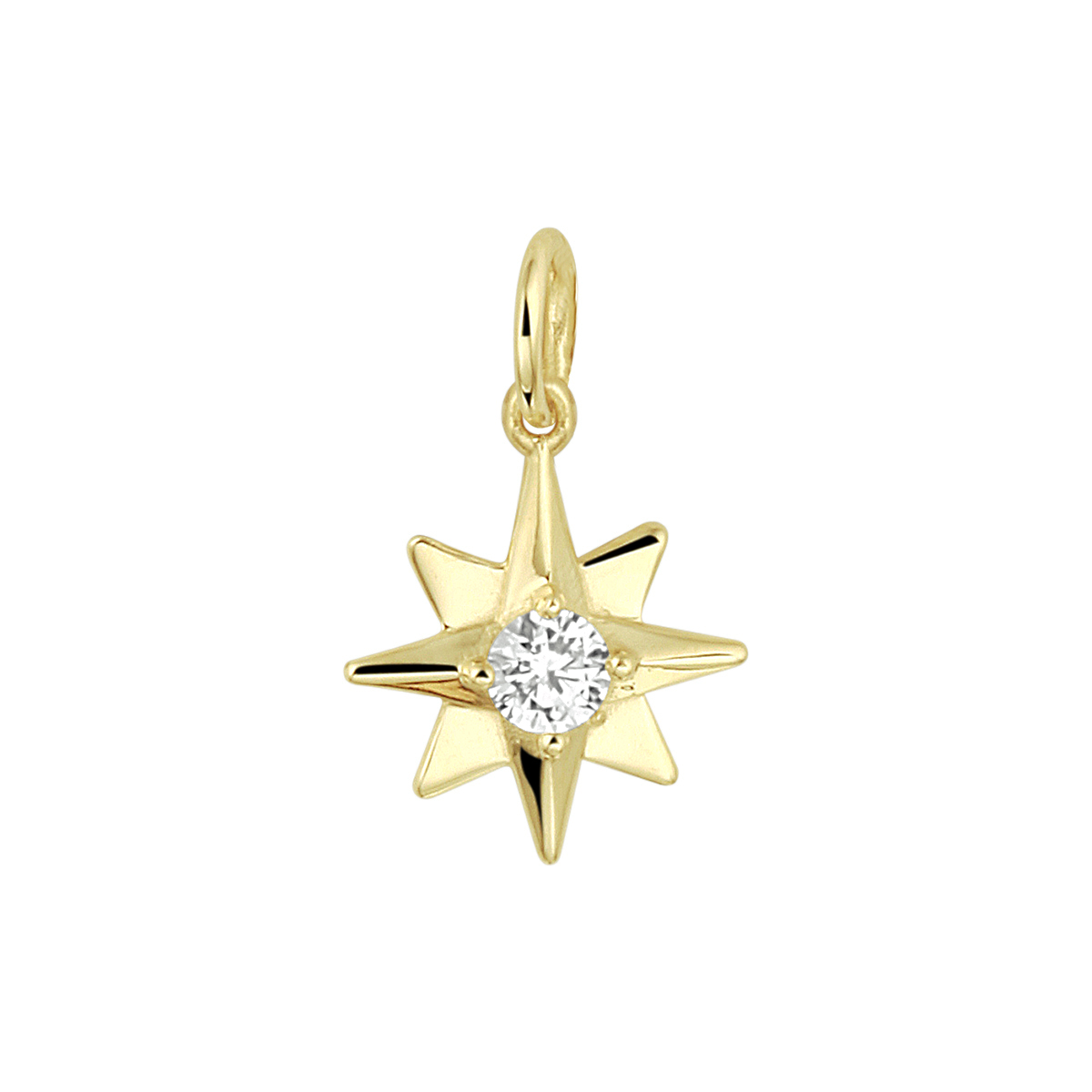 14k Geelgouden hanger in de vorm van een ster uitgevoerd met een schitterende zirkonia. De hanger heeft een totale hoogte van 1.5cm en een breedte van 9mm.