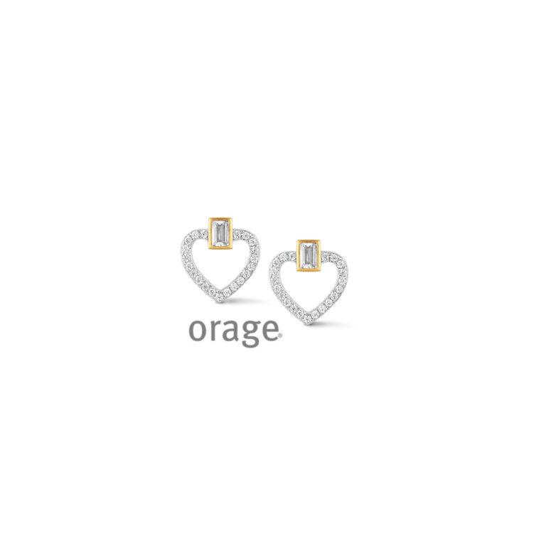 Oorbellen in zilver verguld