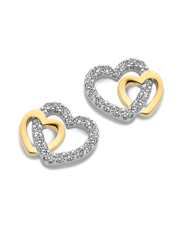 Oorbellen in zilver bicolor verguld met zirconium