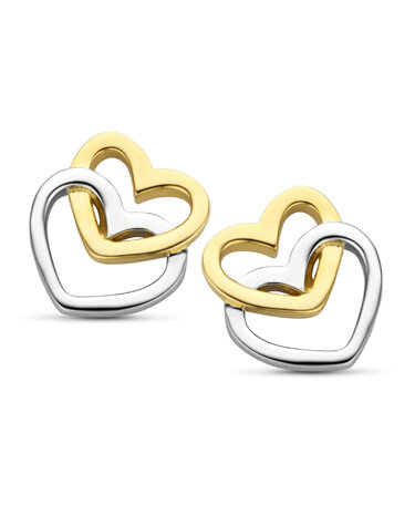 Oorbellen in zilver bicolor verguld