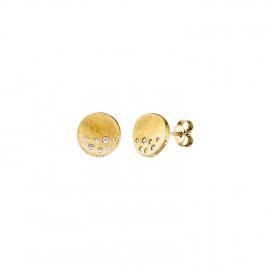 Oorbellen in zilver verguld met zirconia