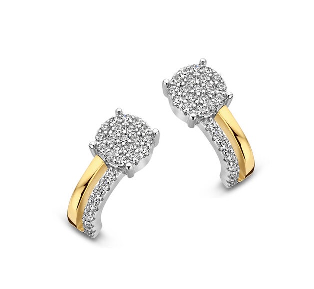 Oorbellen in zilver verguld met zirconia