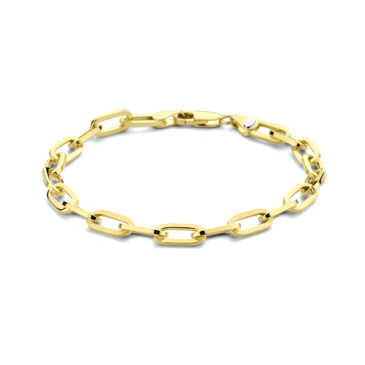 14k Geelgouden armband met daarin een kern van 925 zilver. De armband is uitgevoerd met een paperclip schakel met een breedte van 5mm. De armband heeft een draaglengte van 19cm en een stevige karabijn sluiting.