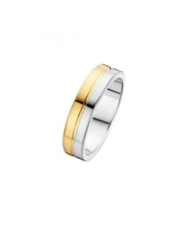 Fjory goud/zilveren ring maat 19.5