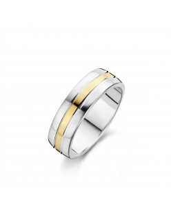 Fjory goud/zilveren ring maat 20