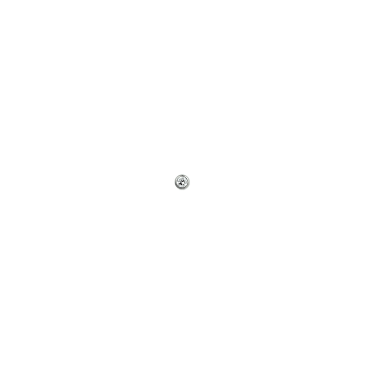 Doelgroep: dames Neusknopjes
Breedte: 2.5 mm
Hoogte: 2.5 mm
Zetting: solitaire (kastzetting)