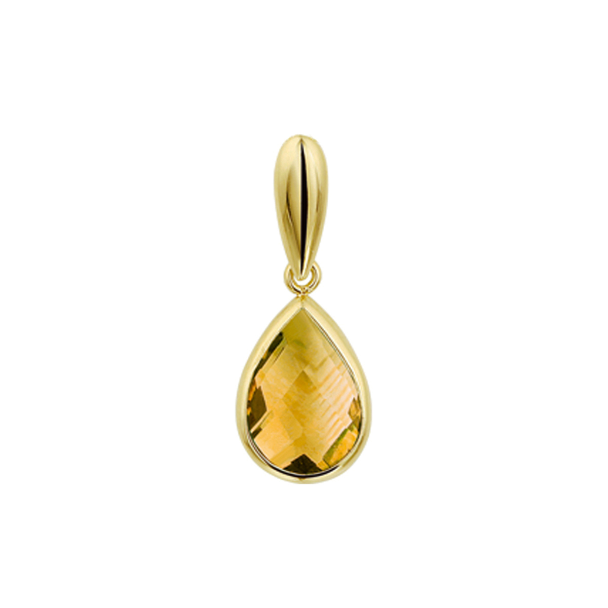 Beschrijving: Juist door het simplistische design is dit een echte eyecatcher. Ontdek hoe de kleuren van het goud en de edelsteen elkaar versterken. Details: Geelgouden hanger met geel citrien. De hanger is onderdeel van een set. 
Verpakt per: 1
Doelgroep: dames
Breedte: 7.5 mm
Hoogte: 20 mm