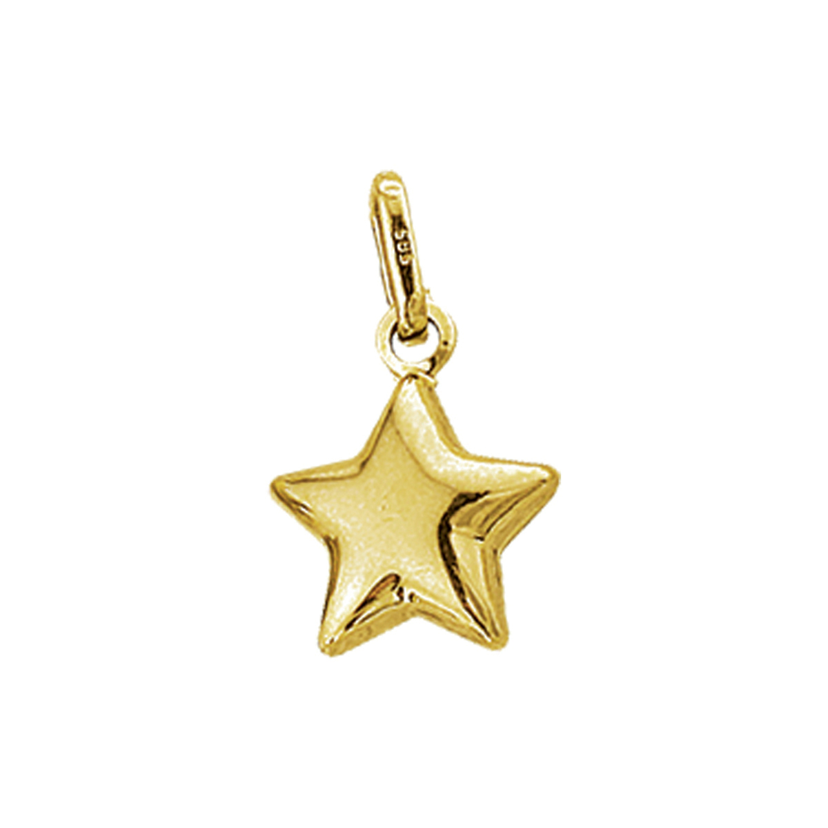 Gouden bedel ster unisex