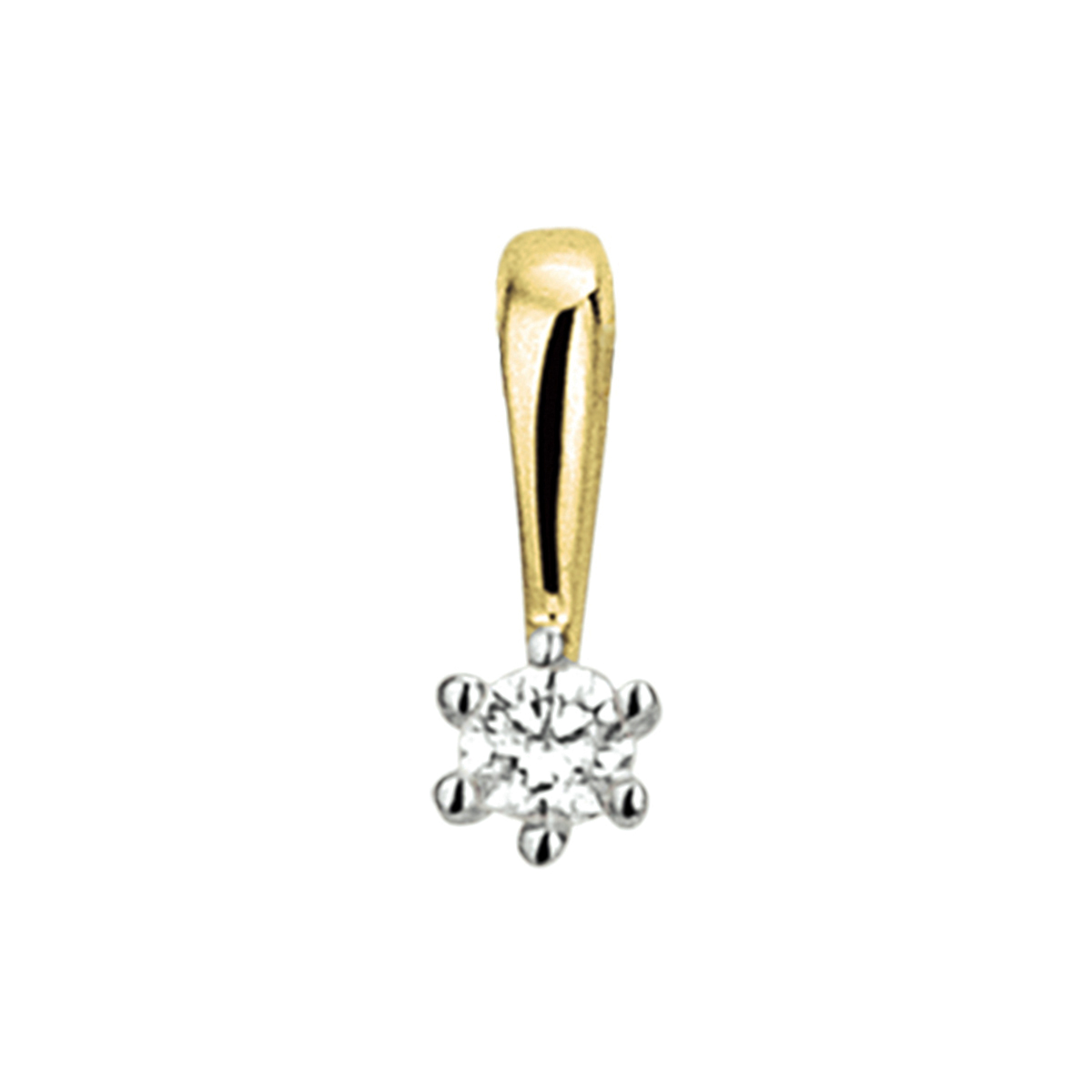Beschrijving: Bicolor wit- en geelgouden hanger met diamant. 
Doelgroep: dames
Breedte: 3 mm
Hoogte: 9 mm
Zetting: solitaire (chatonzetting)