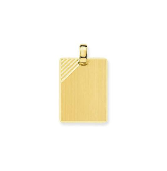 Gouden matte graveerplaathanger 21x15.5mm. met facet