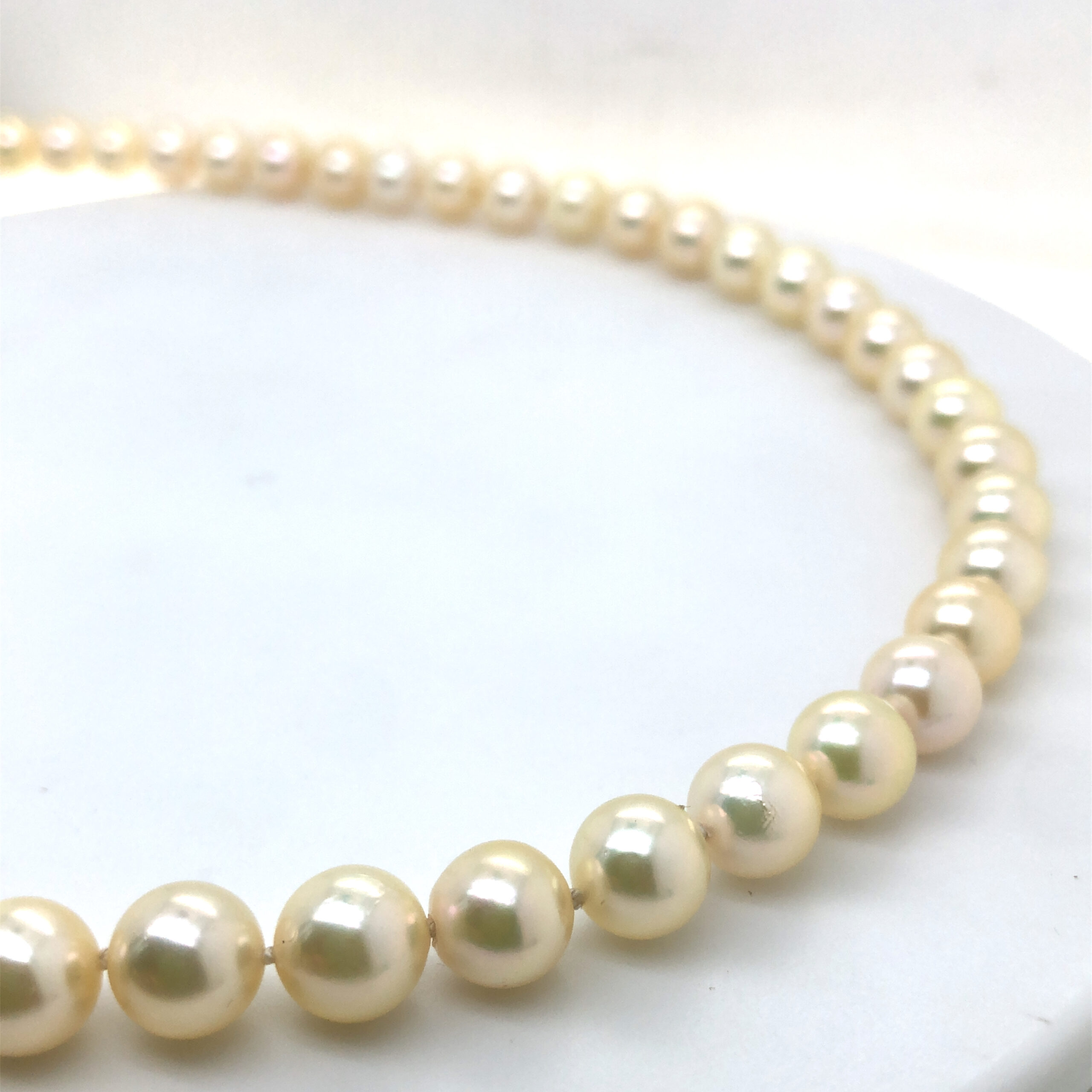 champagnerr farbenes Perlcollier, mit Wechselschließentechnik in Gelbgold 750/ooo gefertigt. Akoya Zuchtperle mit 7mm Durchmesser. Länge 42cm

gefertigt im KISSNER Meisteratelier
