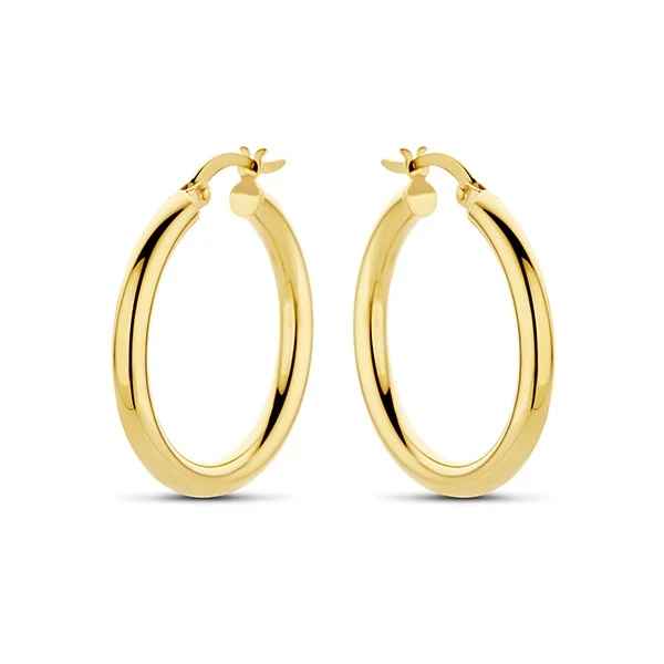 Dit zijn oorbellen van het merk Swing Jewels gemaakt voor dames.