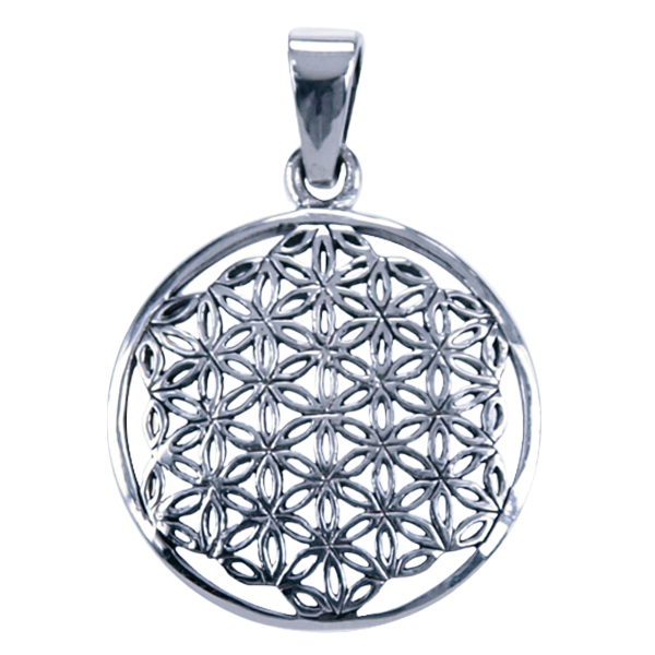 Deze zilveren hanger met het bloem des levens symbool heeft een diameter van 27mm. De gedetailleerde gravure en hoogwaardige afwerking maken dit sieraad uniek en betekenisvol. Deze hanger kan op verschillende manieren worden gedragen, met een zilveren ketting voor een elegante look of aan een leren koord voor een meer casual uitstraling. Een waardevolle toevoeging aan elke sieradencollectie!
