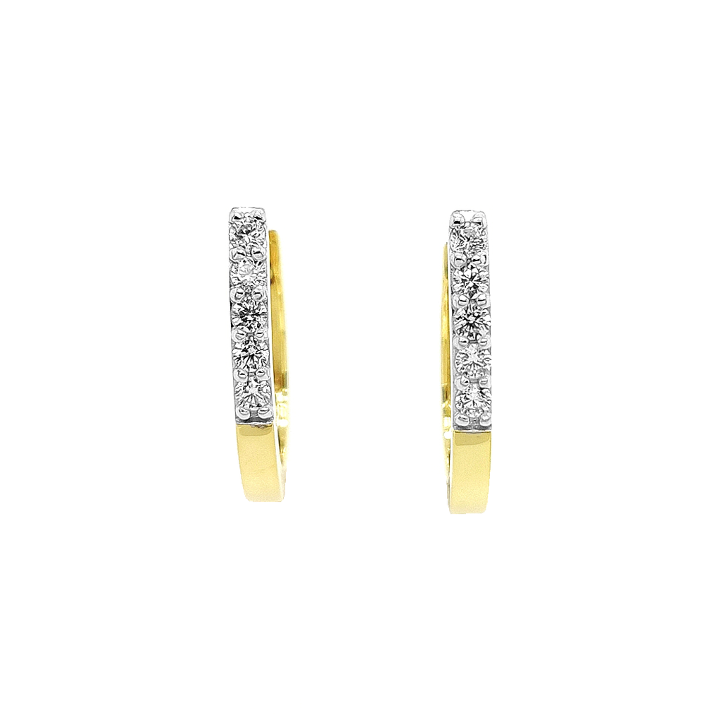 Deze stijlvolle geelgouden oorringen zijn verfijnd afgewerkt met fonkelende zirkonia stenen, die zorgen voor een elegante en luxueuze uitstraling. Het warme geelgoud vormt een prachtig contrast met de heldere schittering van de zirkonia, waardoor de oorringen zowel subtiel als opvallend zijn.

Dankzij het tijdloze ontwerp zijn deze oorringen perfect voor dagelijks gebruik, maar ook ideaal om een feestelijke of zakelijke outfit extra glans te geven. Een klassieke keuze die moeiteloos combineert met andere sieraden.