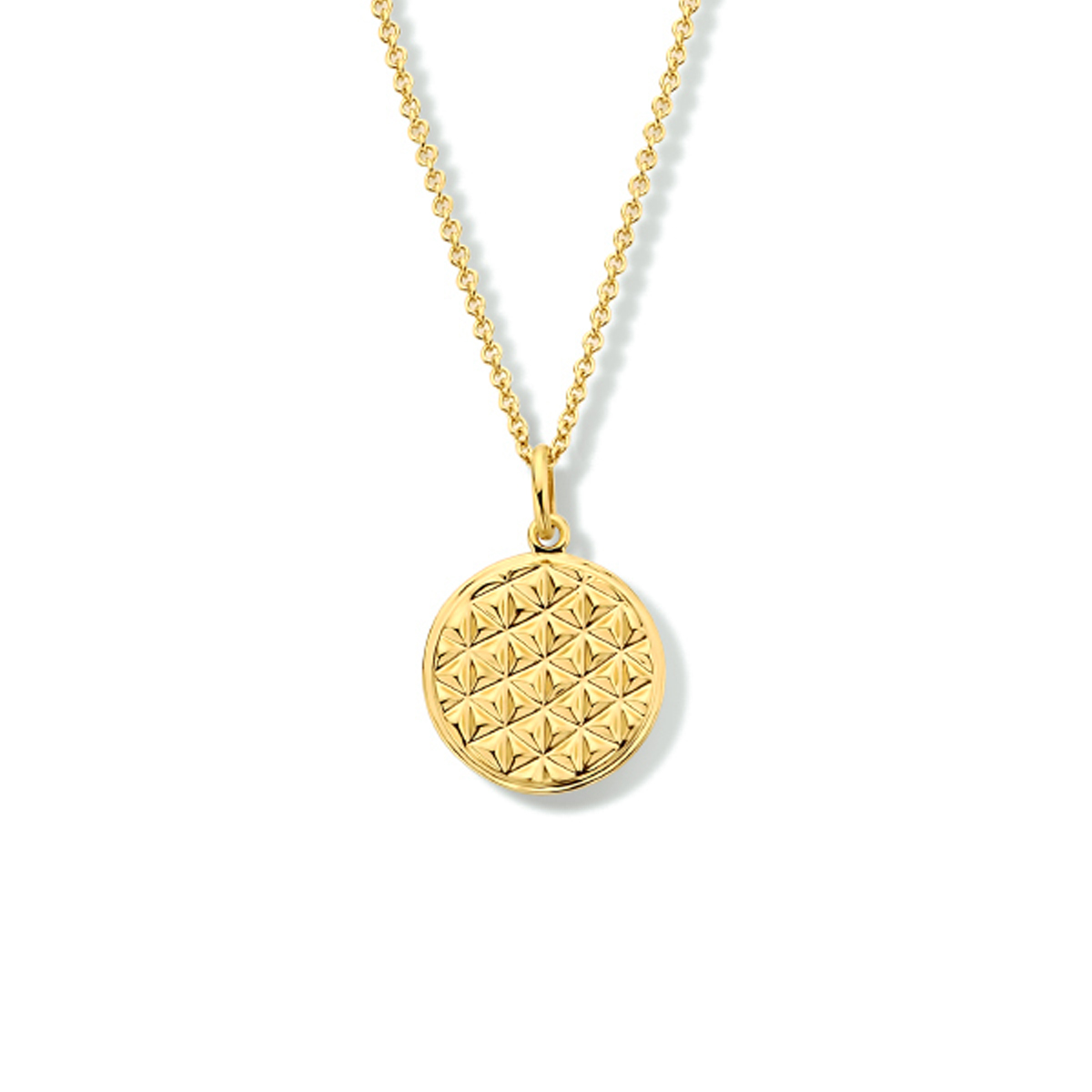 Geelgoud op 925 zilveren collier uitgevoerd met een ronde hanger en een karabijn sluiting. Het collier heeft een draaglengte 42cm en een extensie van 3cm. Geen garantie op plating.