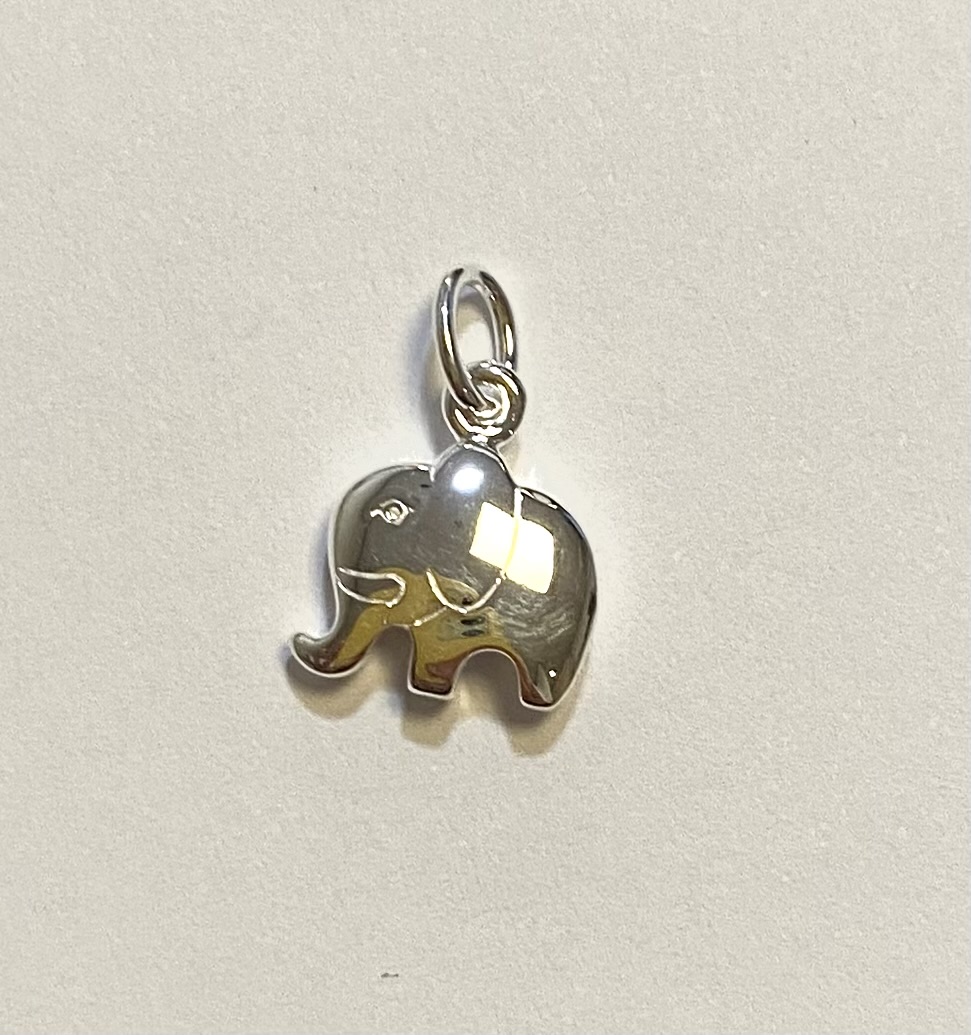 Zilver bedel voor hanger of bedelarmband 