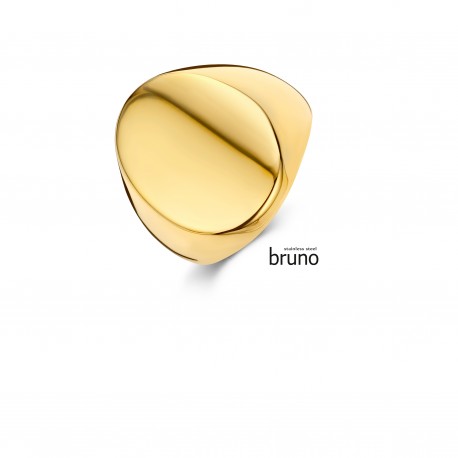 ring staal verguld maat 64 heren ring