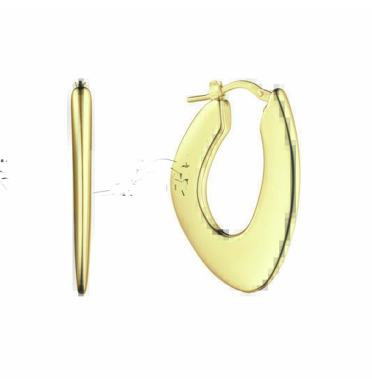 Zilver vergulde oorringen